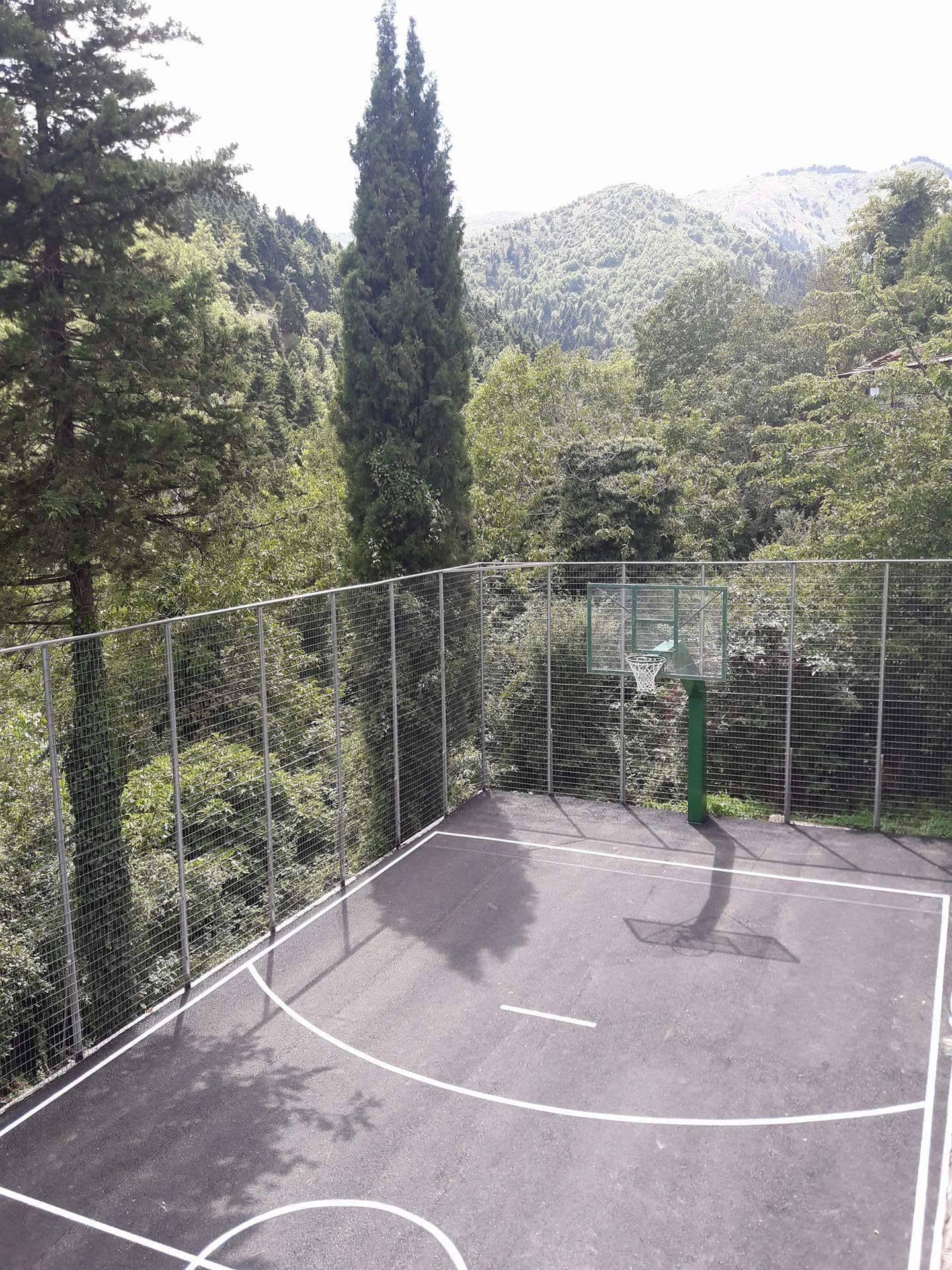 Image of a basketball hoop near the forest